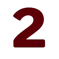 n2